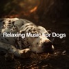 Relaxing Music for Dogs