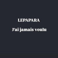 J'ai jamais voulu - Single - LePapara