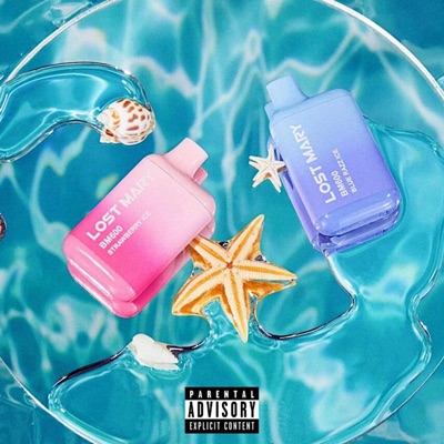 LOST MARY (feat. Alex The Kid) - Single