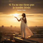 Si Tu ne me tiens pas, je tombe Jésus