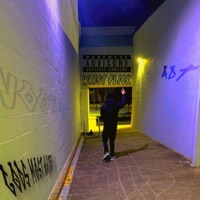 WRiST FLiCK - Single - xvooted