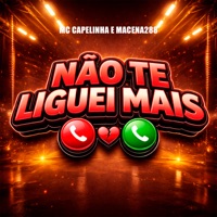 Não Te Liguei Mais - Single - Mc Capelinha