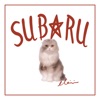 Subaru - Single