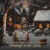 Holidays in the Snow - Single - Christmas Music Holiday Orchestra, Celestial Aeon Project & Frozen Silence