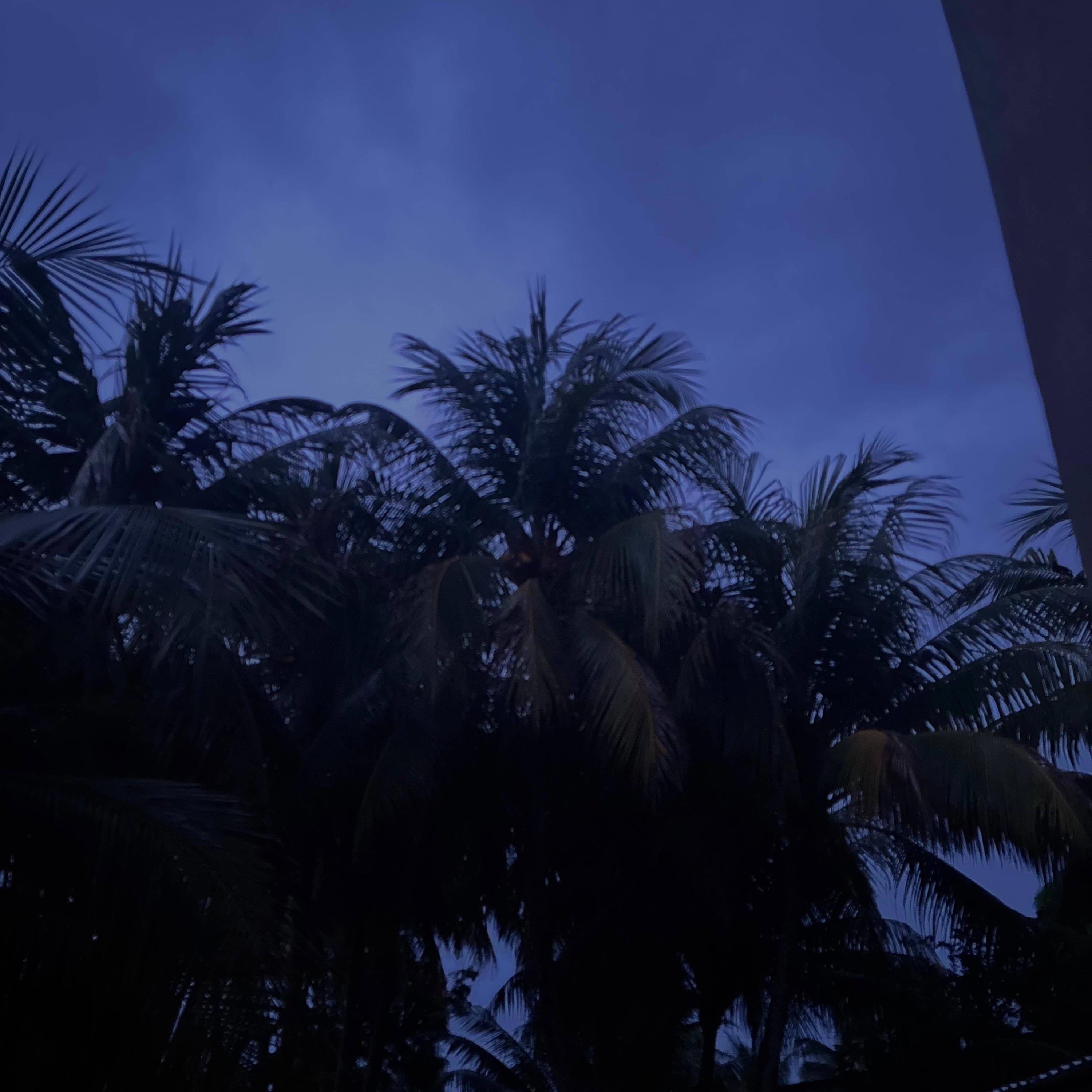 chris - a-PastMidnite