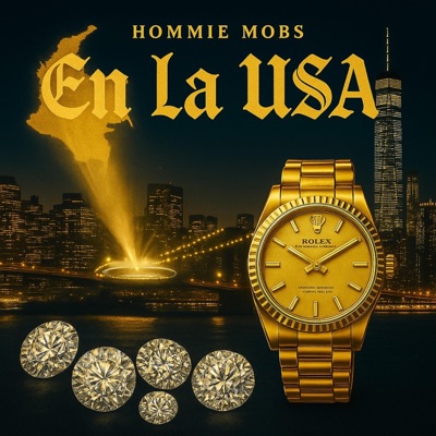 EN LA USA (feat. Aceitu & Zonas M.) - Single