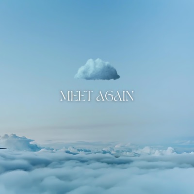 Meet Again - Single