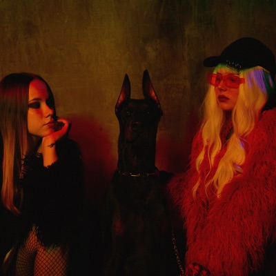 Обидчик - Single