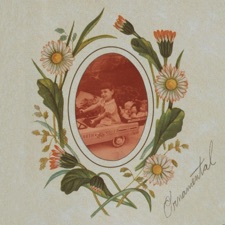 Ornamental - Brought it on Myself