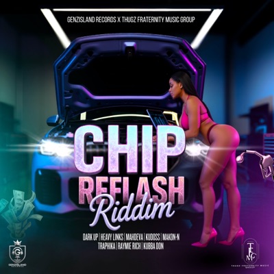 Chip Reflash Riddim