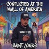 The Mall of America