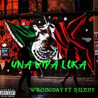 UNA VIDA LOKA (feat. Wrongday el del paño negro) - Single - HUNNY