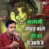 Balaji Johad Wale Tere Dar Pe Aaye Hain - Single