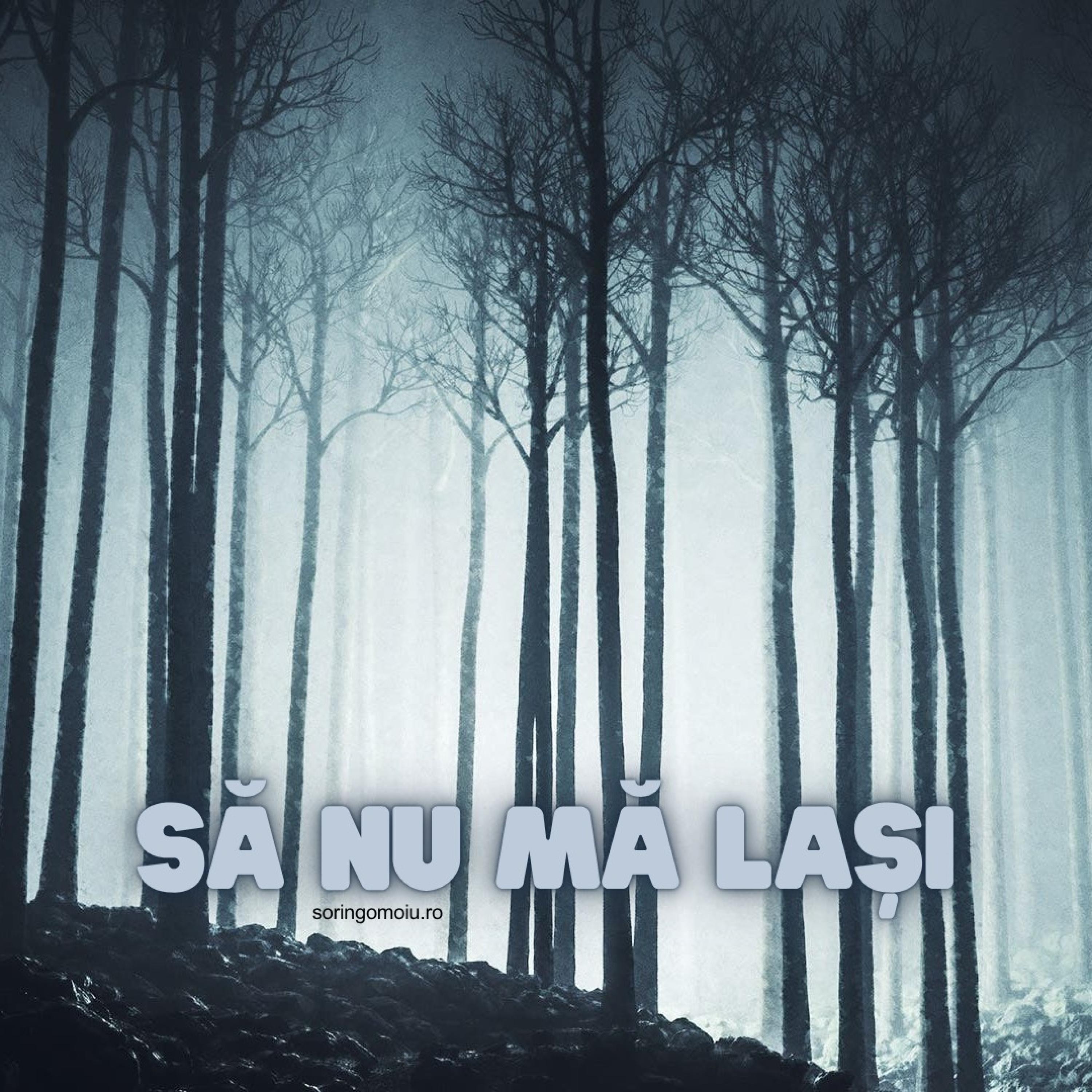 Să nu mă lași - Single