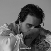 Toisessa elämässä - Single - Lauri Haav