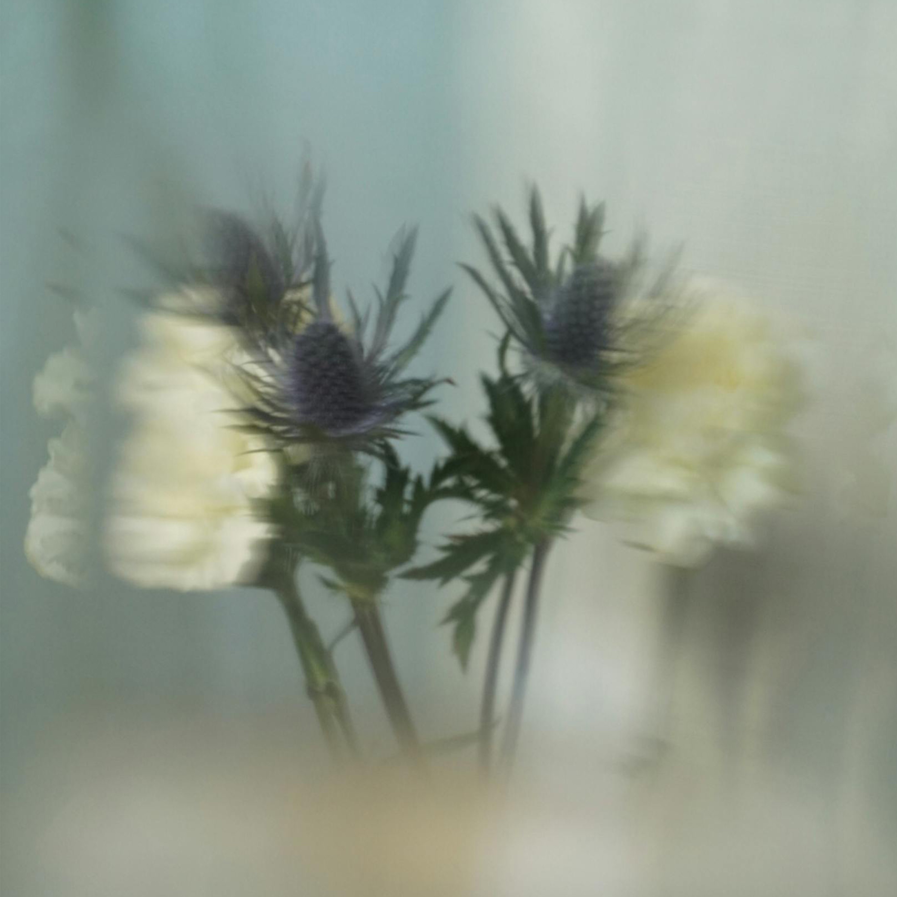 sweet mistake - Single