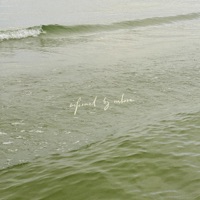 informed by nature - Sebastian Jautschus