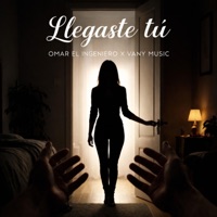 Llegaste Tú (feat. Vany Music) - Single - Omar el Ingeniero