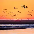 Love Ride