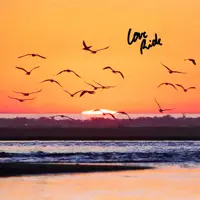 Love Ride — Lee Jordan