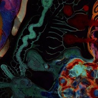 Live2Love - Single - EYERIS IX & Murph