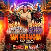 Tan Hermosa Y Tan Cruel (feat. Banda La Chacaloza de Jerez Zacatecas) - Single - Banda Puro Santa Rosa