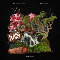 Nais (feat. Robledo Timido) - Single - Fees
