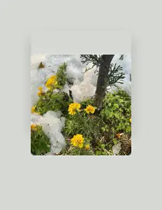 聆聽 leesan、觀看音樂影片、閱讀小傳、查看巡演日期等！