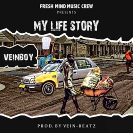 My Life Story Veinboy