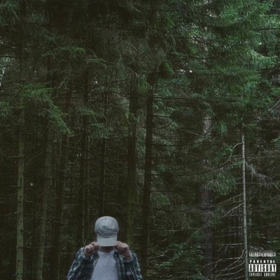 On the Horizon of My Illusions I See Fata Morgana - Single