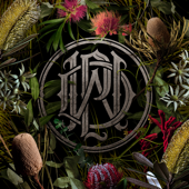 Prey (Live at the Sydney Opera House) song art