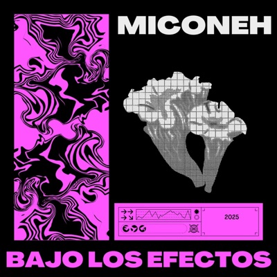 Bajo Los Efectos - Single