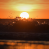 James Malikey - Solar Eclipse  artwork
