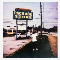 Never - Single - Raury & Dave Hirsh