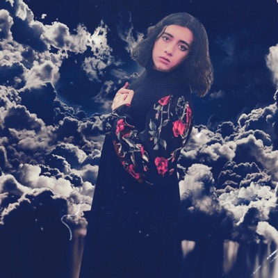 Fly Me To The Moon - Single