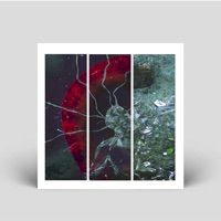 Selective Consciousness - Autokinetic & Flaws