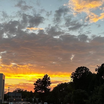 Didn't Ya Kno - Single