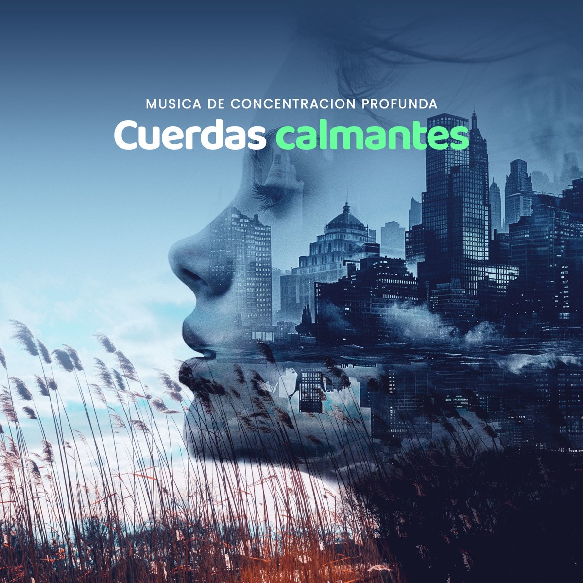 ‎cuerdas Calmantes - Album By Música De Concentración Profunda - Apple 