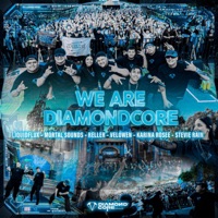 WE ARE DIAMONDCORE (with Mortal Sounds & Stevie Rain) - Single - Karina Rosee, LiquidFlux, Velowen & Reller