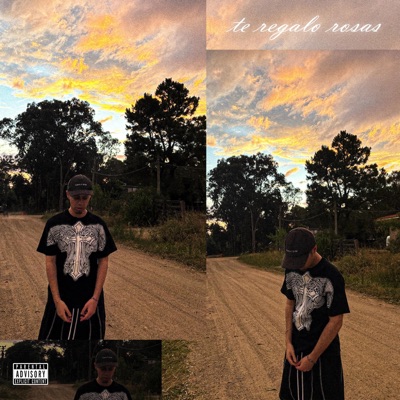 te regalo rosas - Single