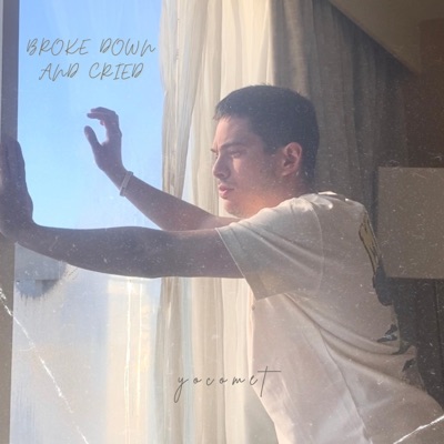 Broke Down and Cried - Single