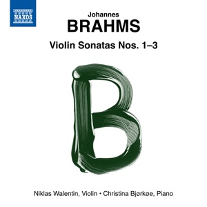 Violin Sonata No. 3 in D Minor, Op. 108: III. Un poco presto e con sentimento