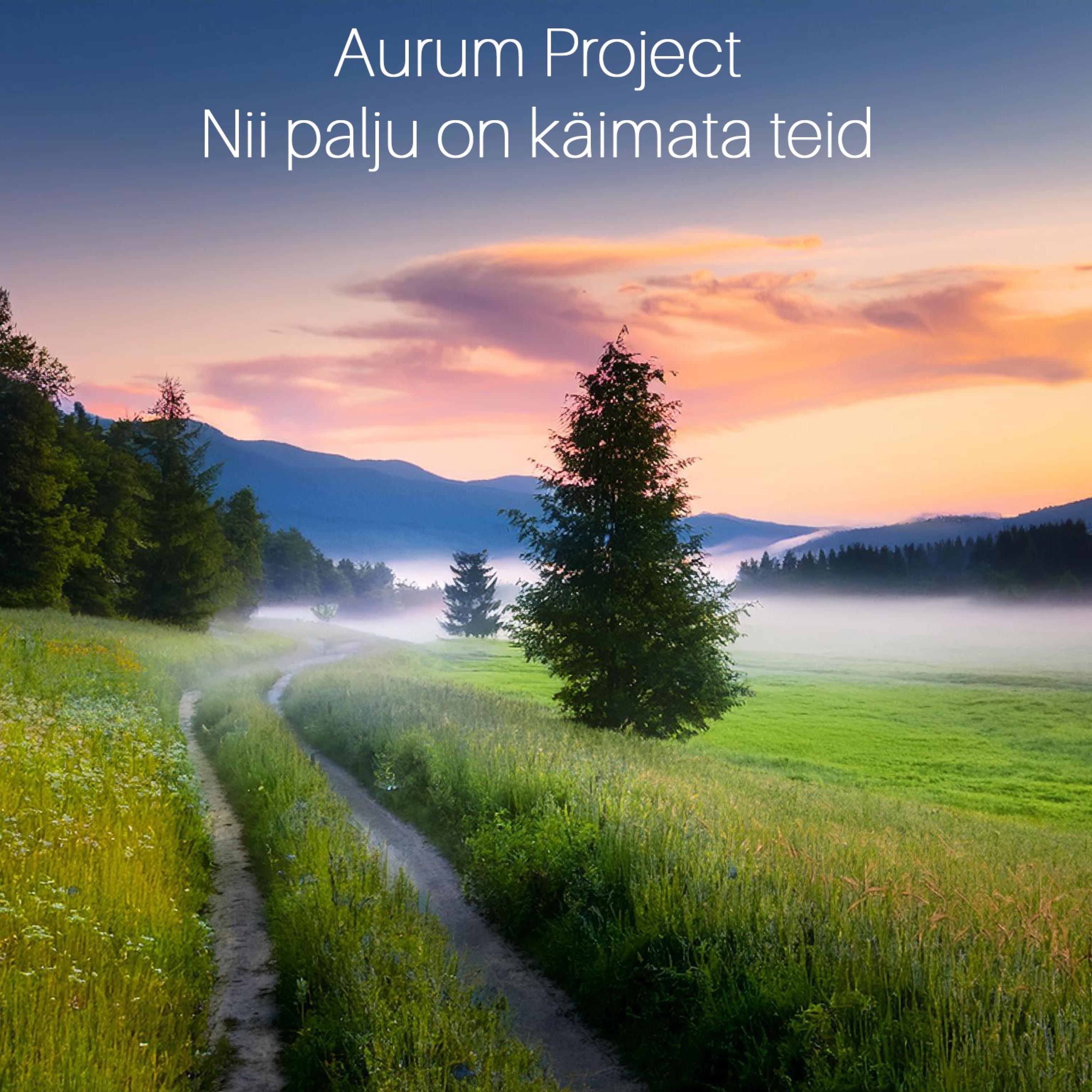 Nii palju on käimata teid - Single