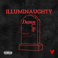 Damn Life (feat. Huc. Finn, Kupo8000, DeezNuts & Clyde Park) - Single - Illuminaughty