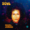 SOUL - Michel Jonasz
