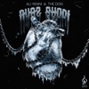 Avaz Shodi - Single