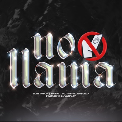 NO LLAMA (feat. Luvatplay) - Single
