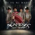 Ni tu ni nadie