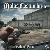 Malas Costumbres (feat. Kalako Parga Oficial) - Single - Delincuentes MX