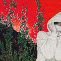 Perfect Plastic - Single - Näppen